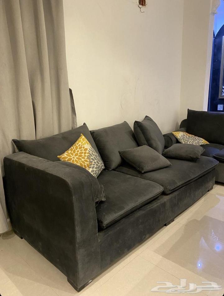 كنب زاوية64408694949890113