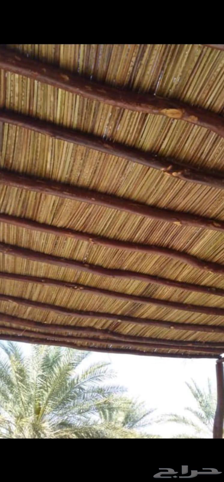 مقاول يمني لجمع انواع شغل التراث أو الشبوك أو بناء الحجر64525067385475114