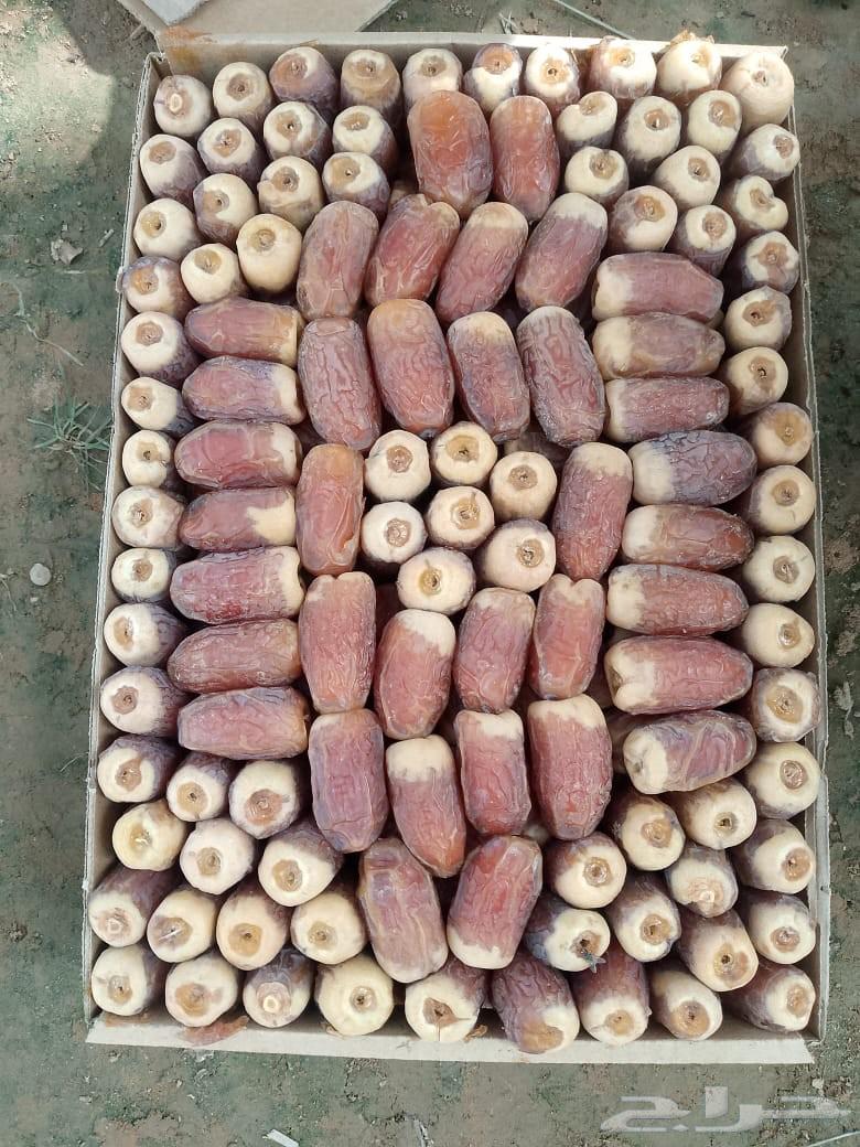 صقعي كل يوم لهذا العام64411028269570111