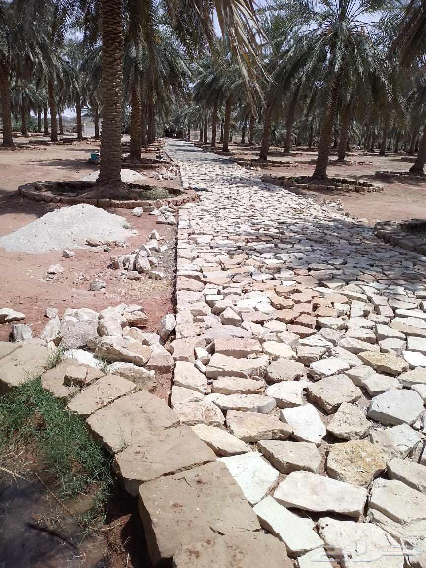 مقاول يمني لجمع انواع شغل التراث أو الشبوك أو بناء الحجر64525067385475110