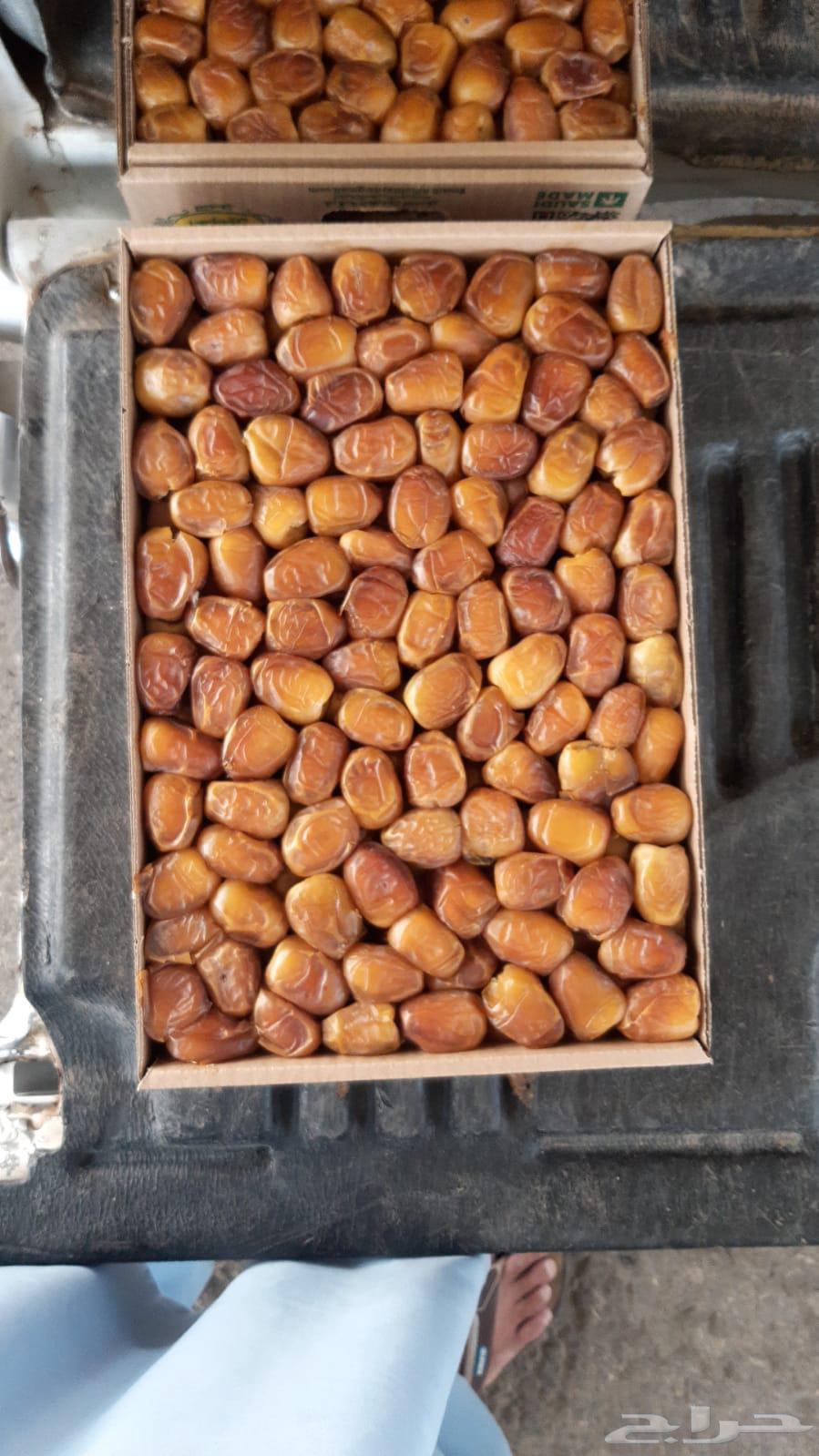 Golden Sukkari Dates 25 SAR wholesale, minimum order 50 cartons, delivery within the city64406388620546110