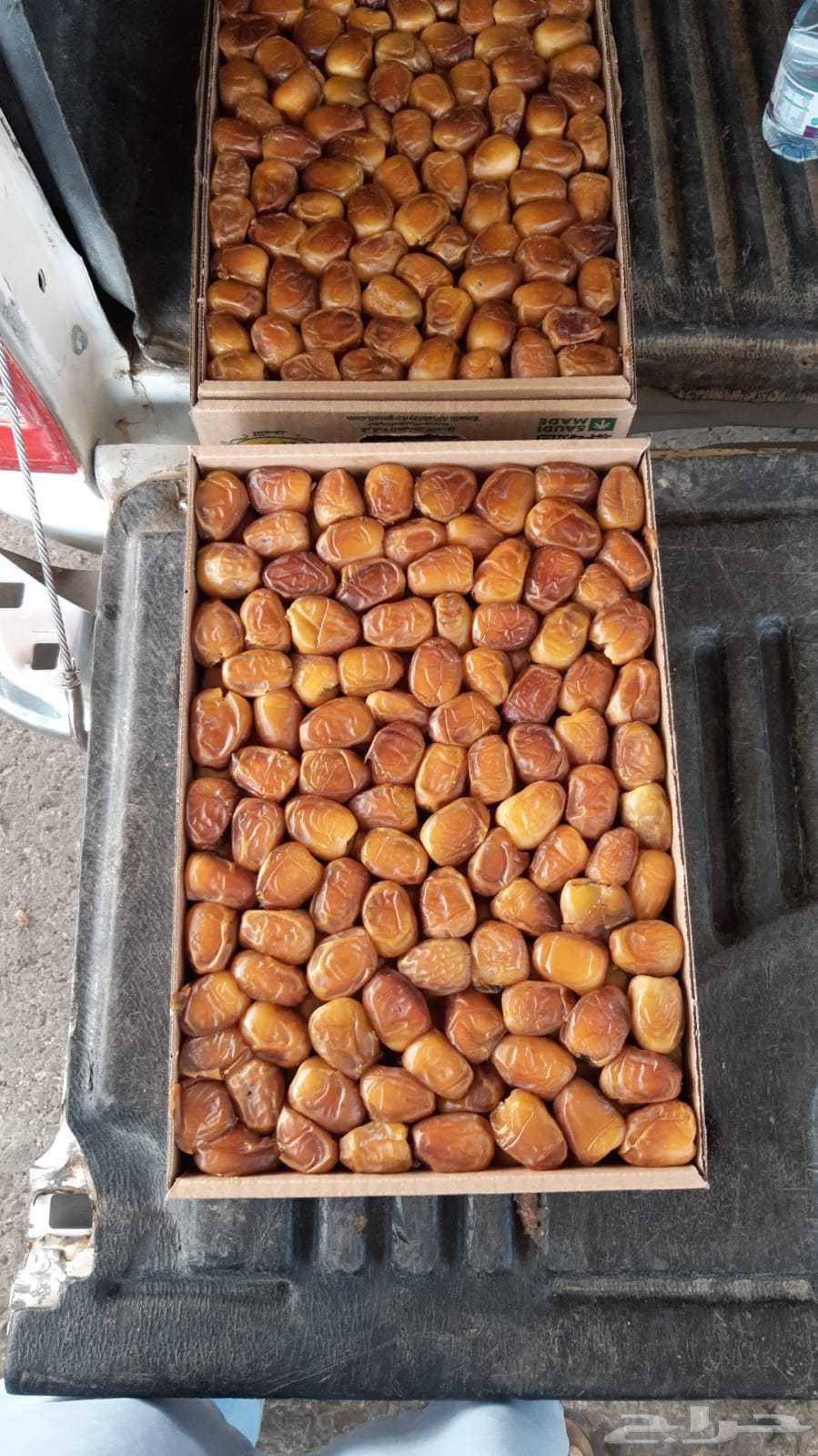 Golden Sukkari Dates 25 SAR wholesale, minimum order 50 cartons, delivery within the city64406388620546111