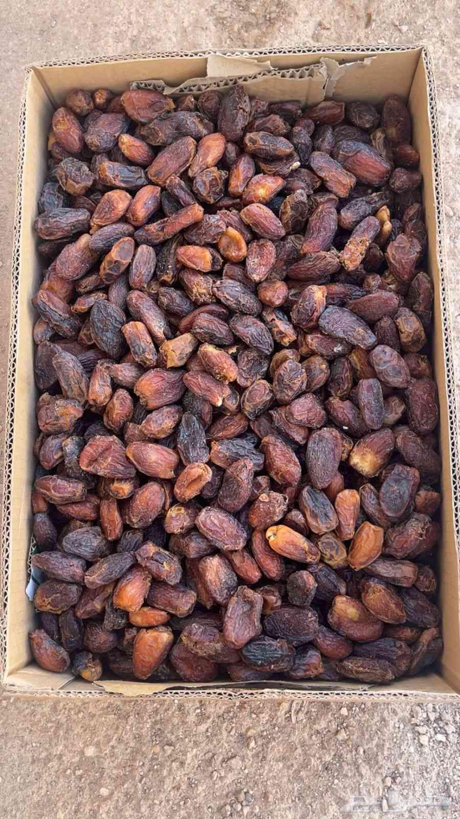 There is fodder dates for sale, weight 18 kg and price 25 SAR64411553778946111