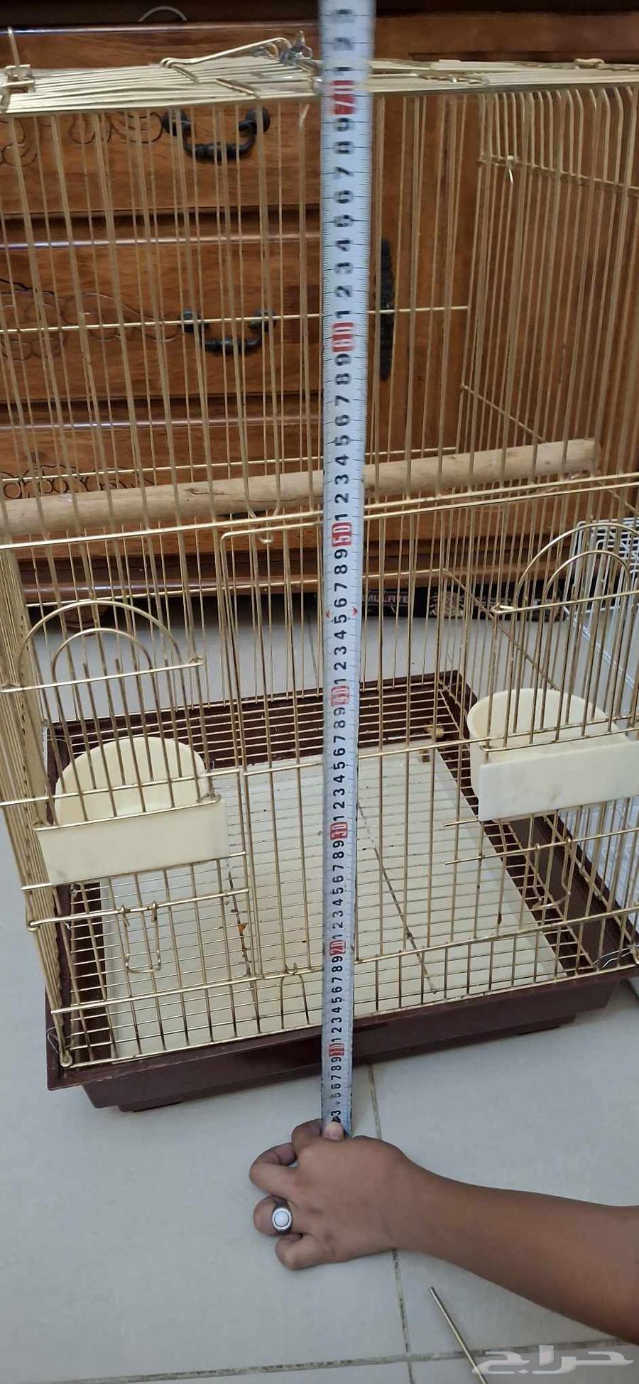 اقفاص للبيع64411243198851113