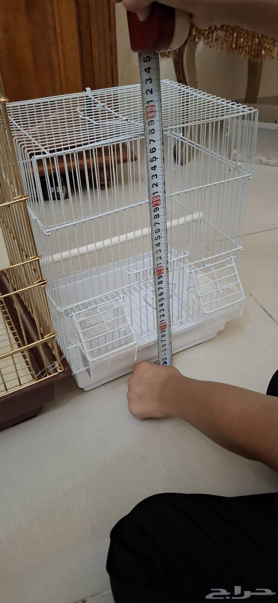 اقفاص للبيع64411243198851111