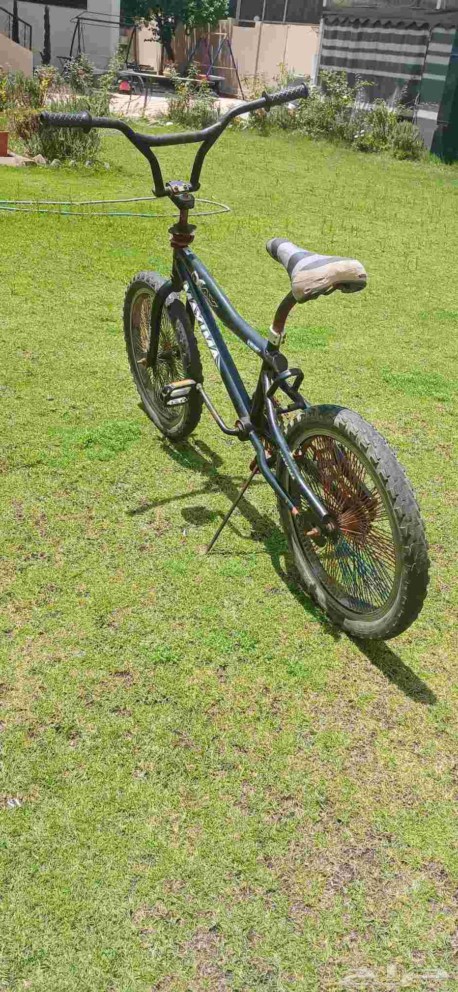 دراجة سيكل كوبرا مقاس 2064407196523138112