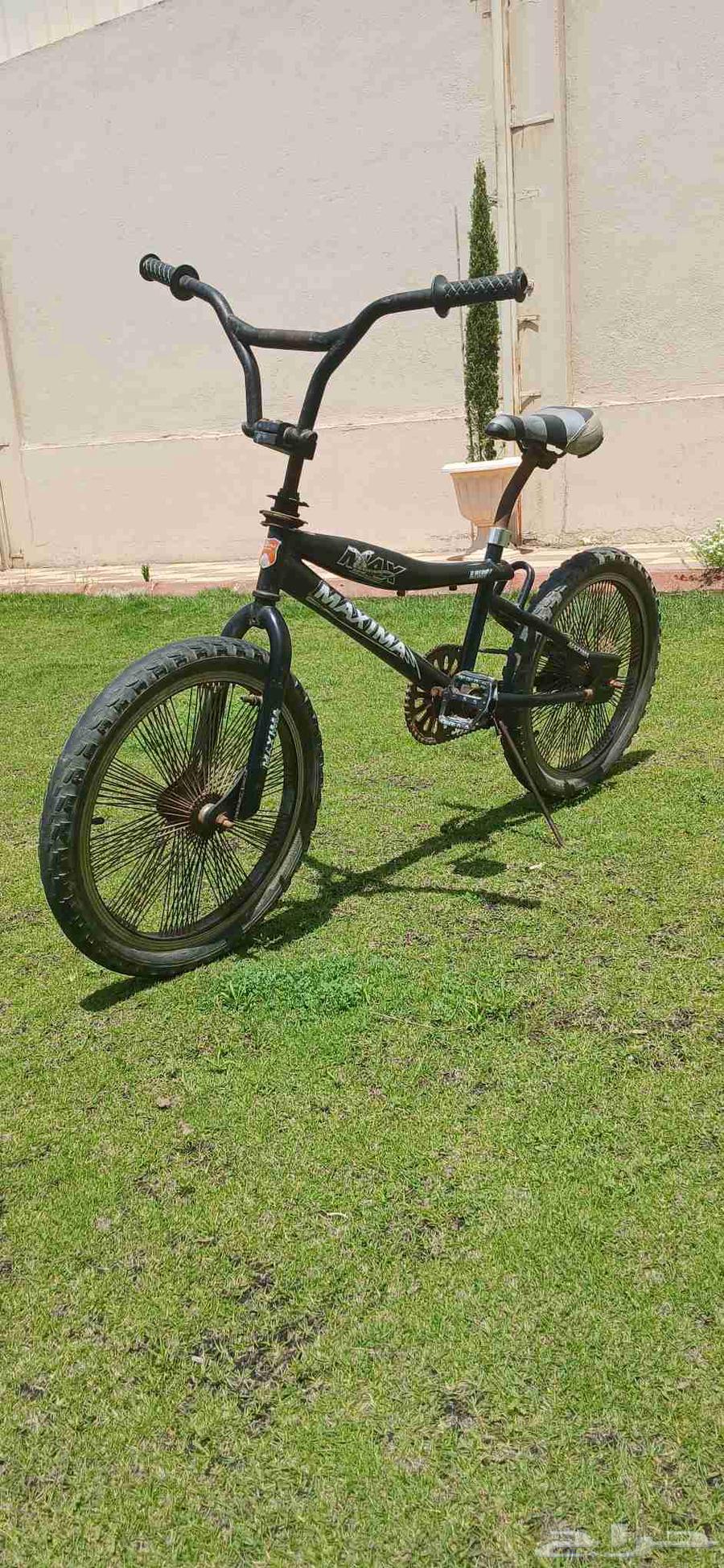 دراجة سيكل كوبرا مقاس 2064407196523138110