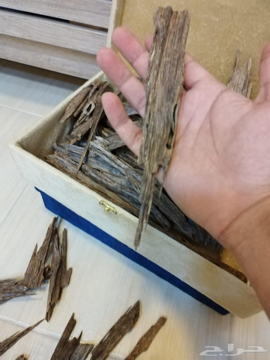 عود هندي ناجلاند زورا64406862864897112