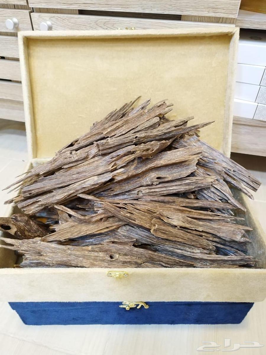 عود هندي ناجلاند زورا64406862864897110