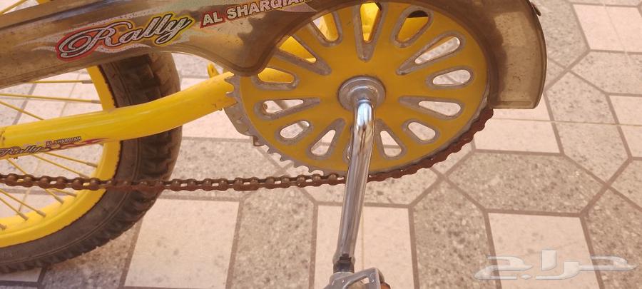 سيكل كوبرا اصفر على السوم64548392848898114