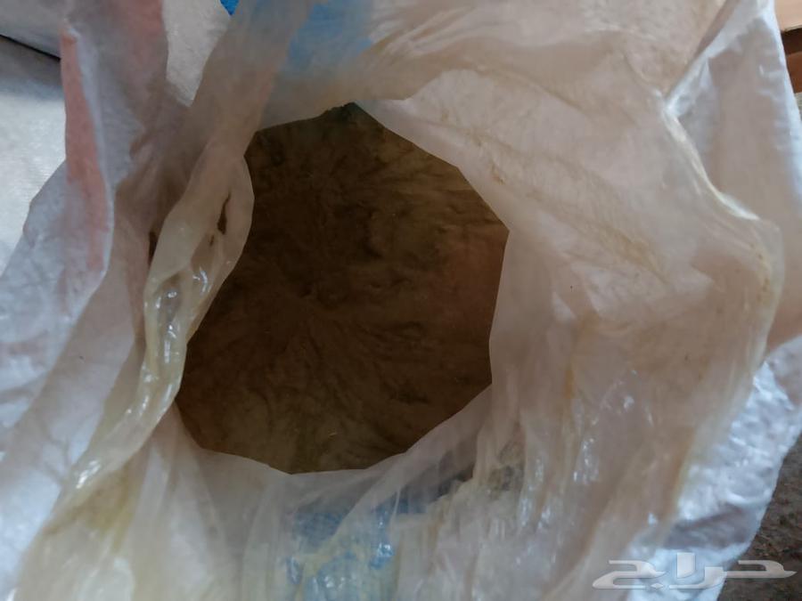 الحناء للبيع اصلي 10064524808864769114