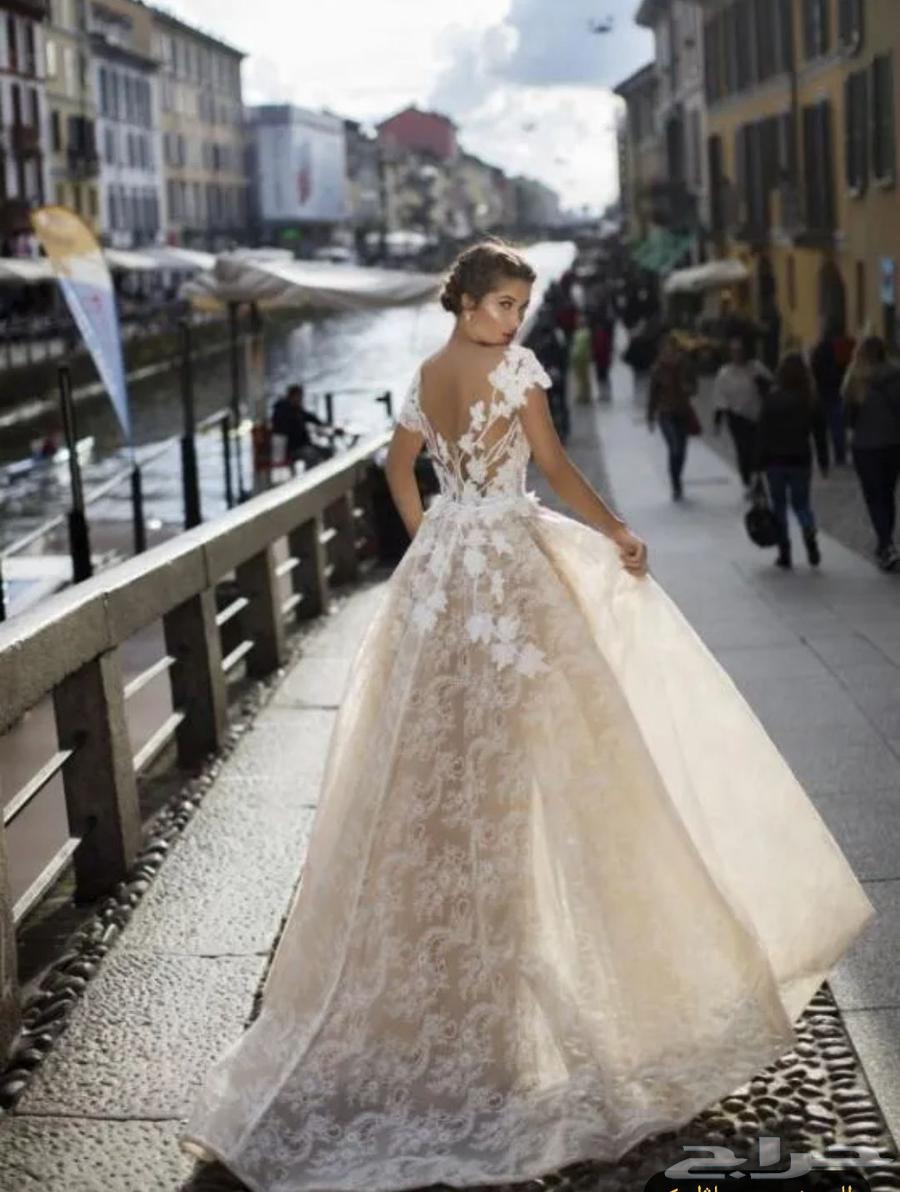 فستان خطوبة من المصمم طارق ايديز64551632891650113