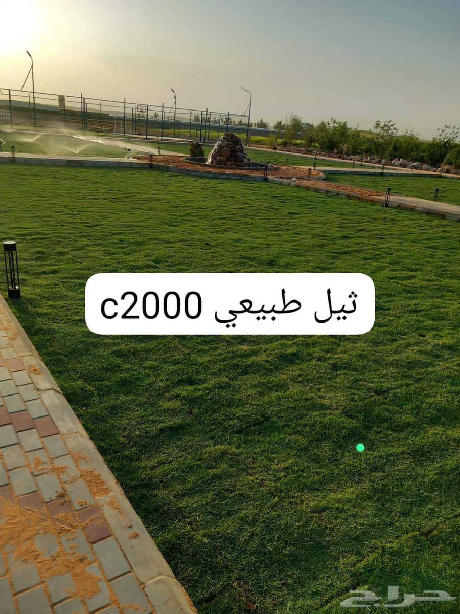 زراعة الثيل وتنسيق الحدائق والملاعب64151910193281111