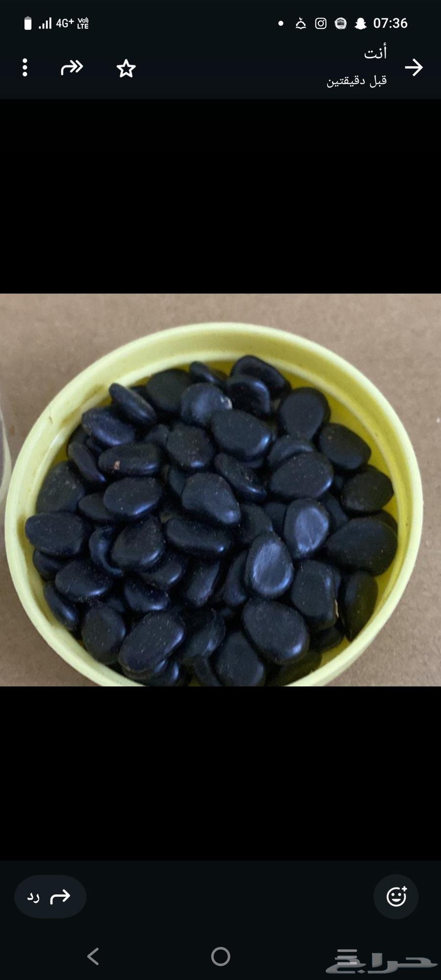 بذور اللوز الهندي64545345968769111