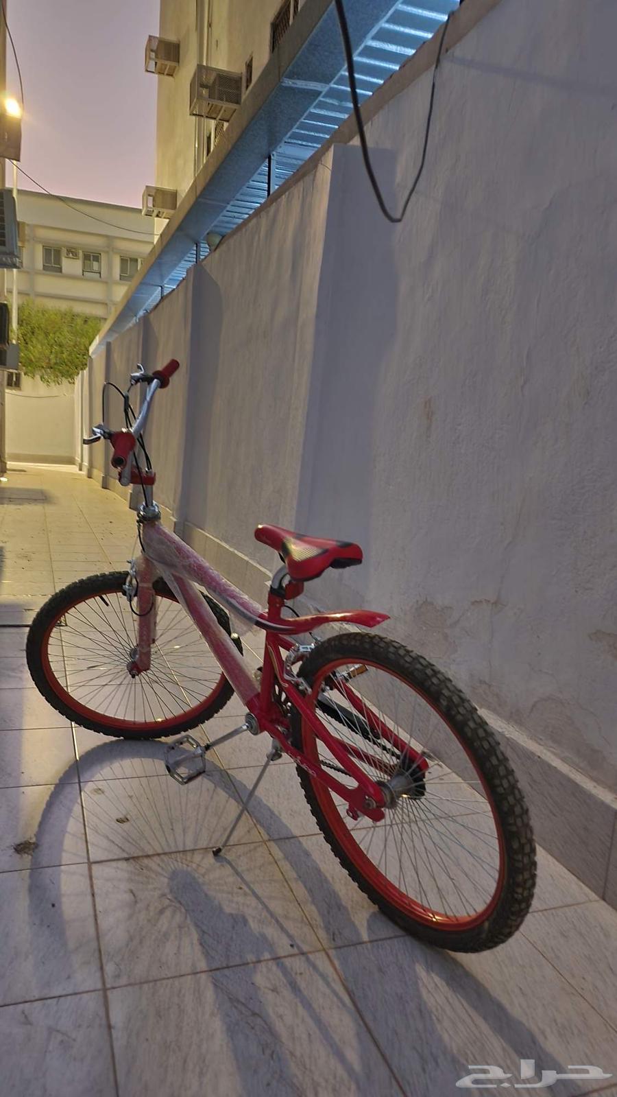 دراجه كوبرا مقاس 2464550661481089111