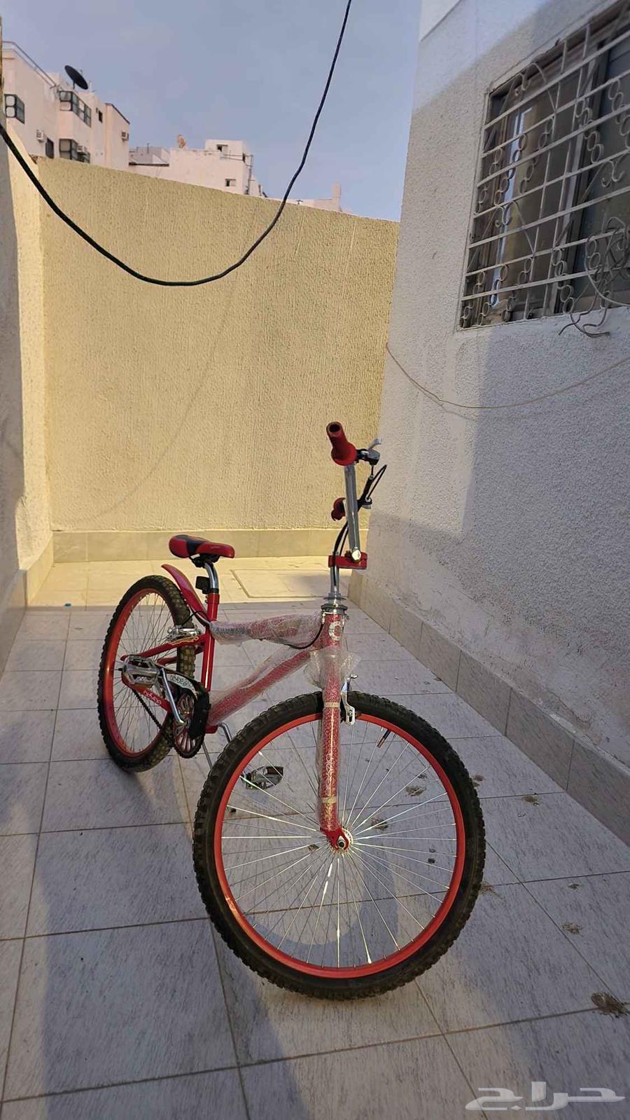 دراجه كوبرا مقاس 2464550661481089110