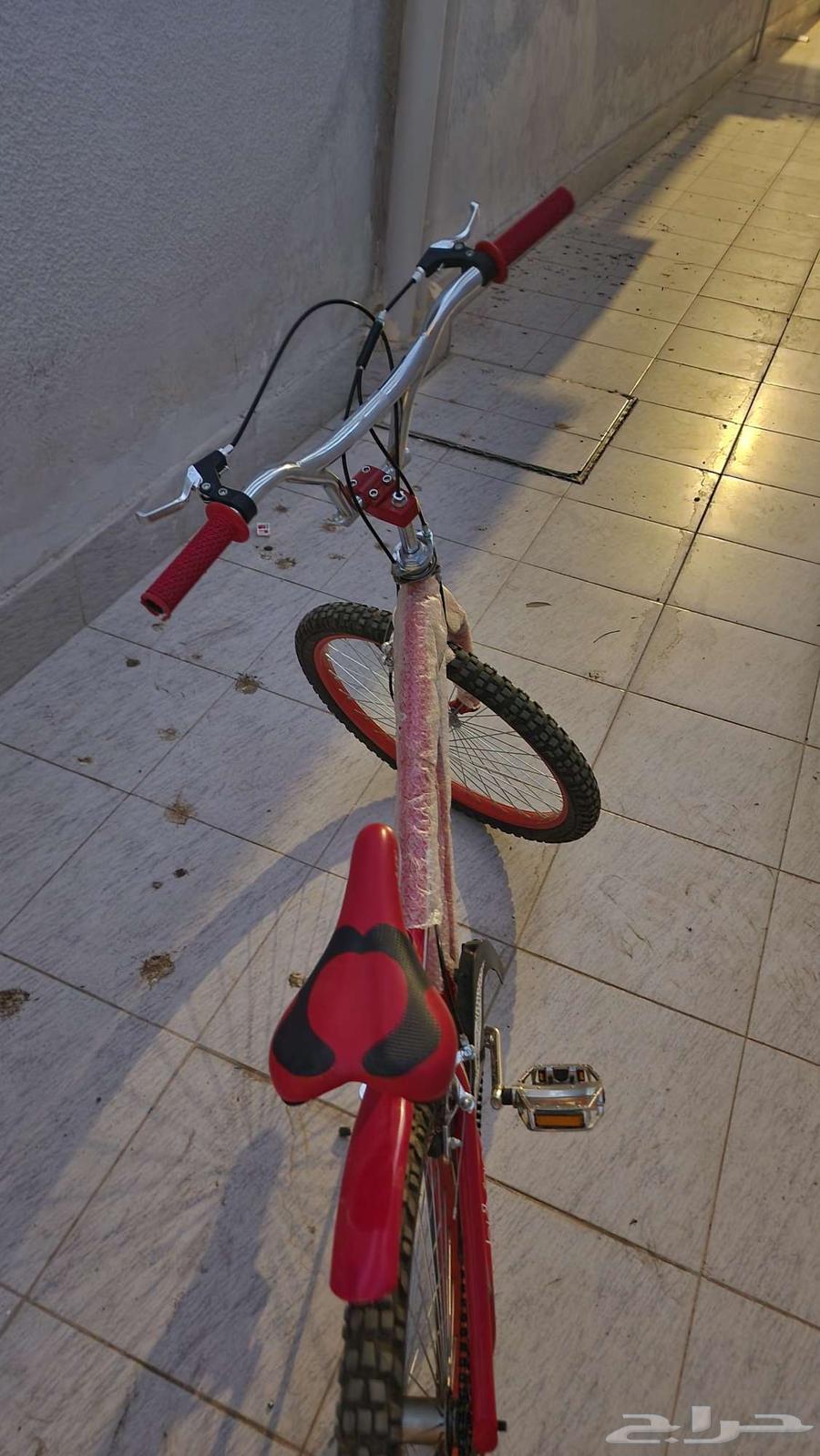 دراجه كوبرا مقاس 2464550661481089114