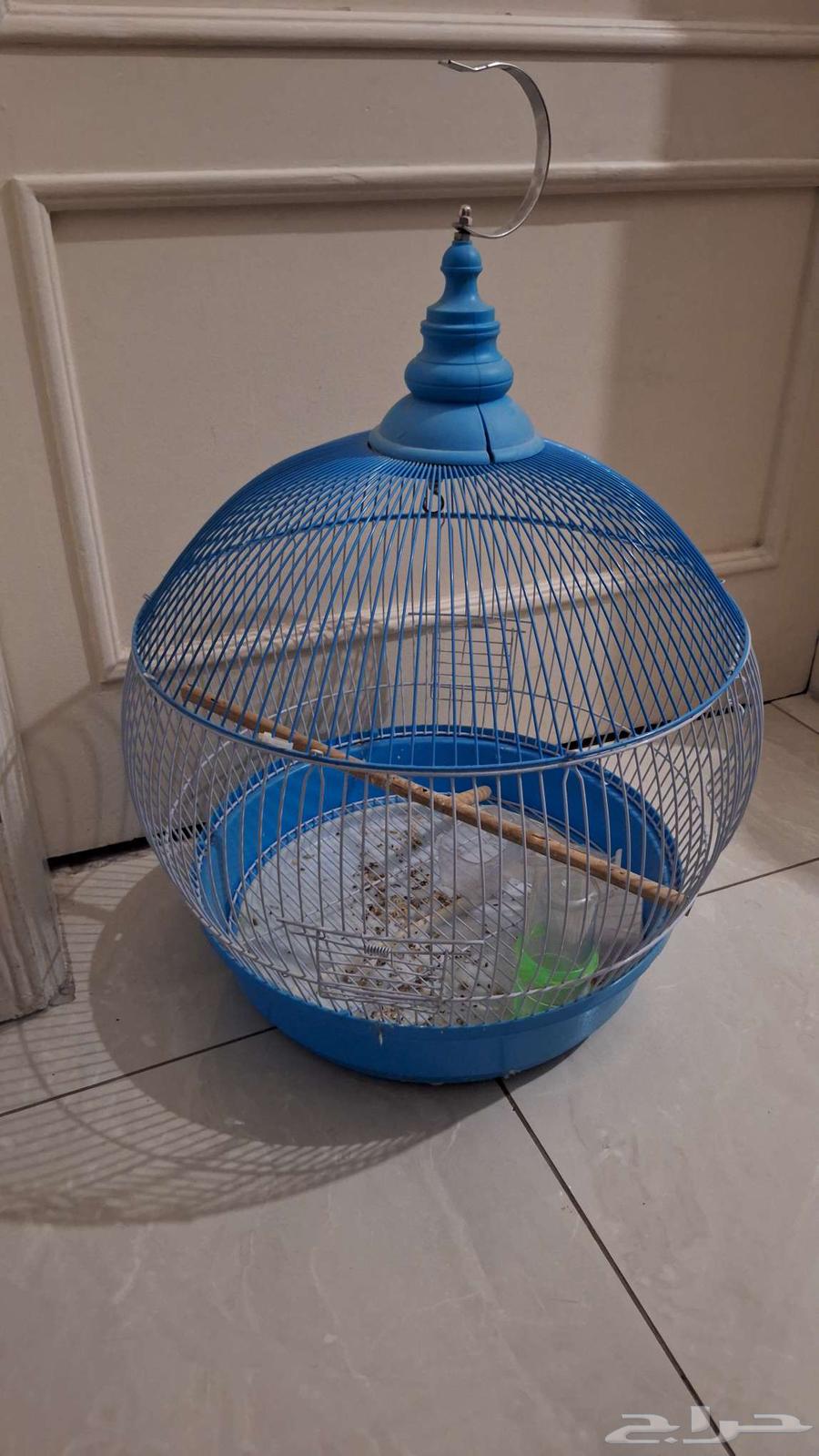 قفص عصافير كبير للبيع64550704352001110