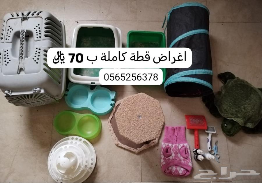 Cat box64549556599810112