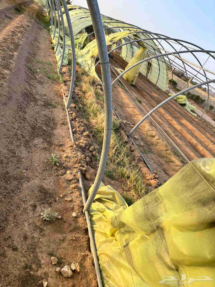 للبيع بيوت محميات64548266734721110