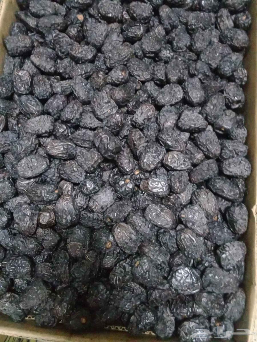 تمر عجوة المدينة الفاخرة سوبر جامبو64231093746049110