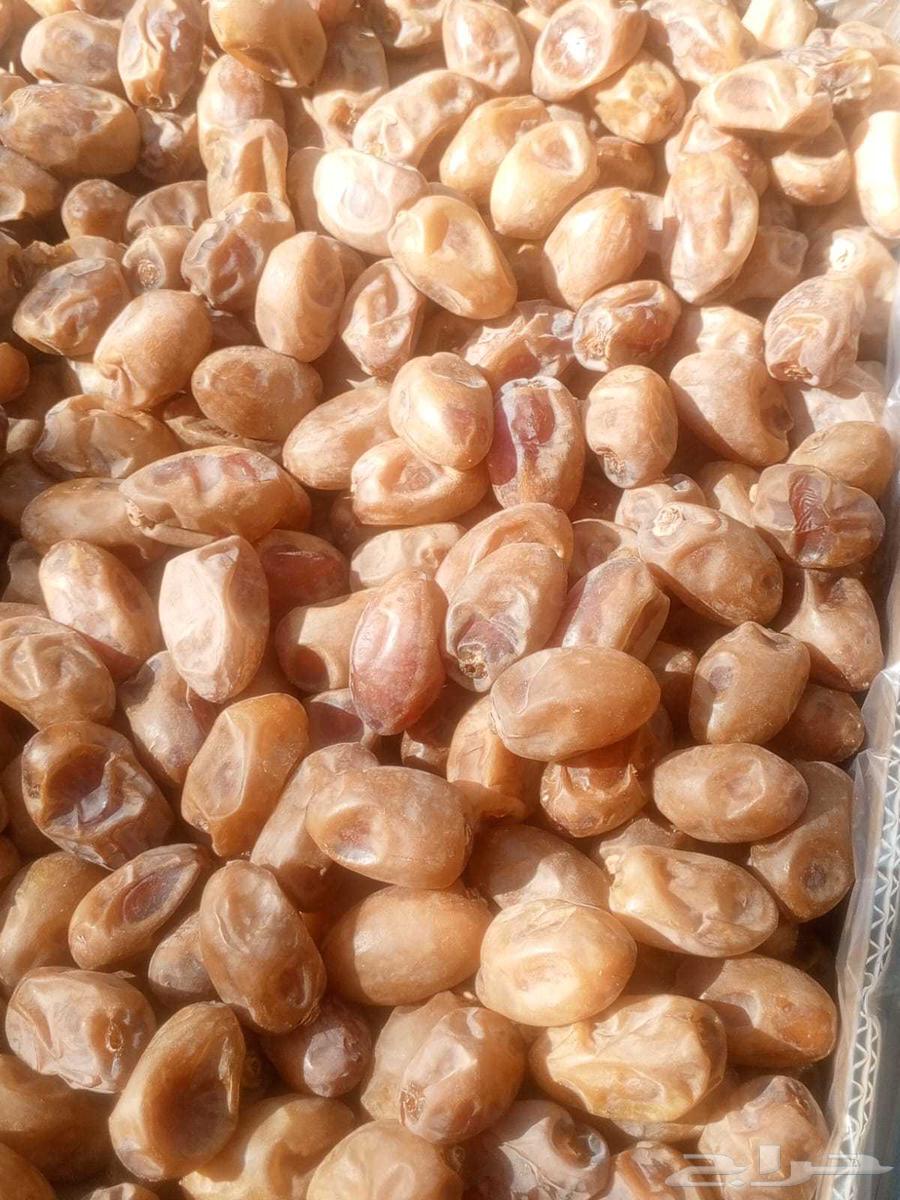 اخلاص اشقر حبه طيبه الموقع حمادة الغاط الكميه تقريبا 20 طن64546985347331111