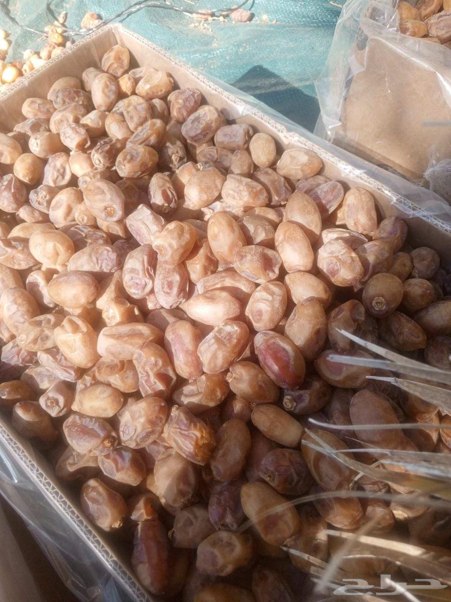 اخلاص اشقر حبه طيبه الموقع حمادة الغاط الكميه تقريبا 20 طن64546985347331112