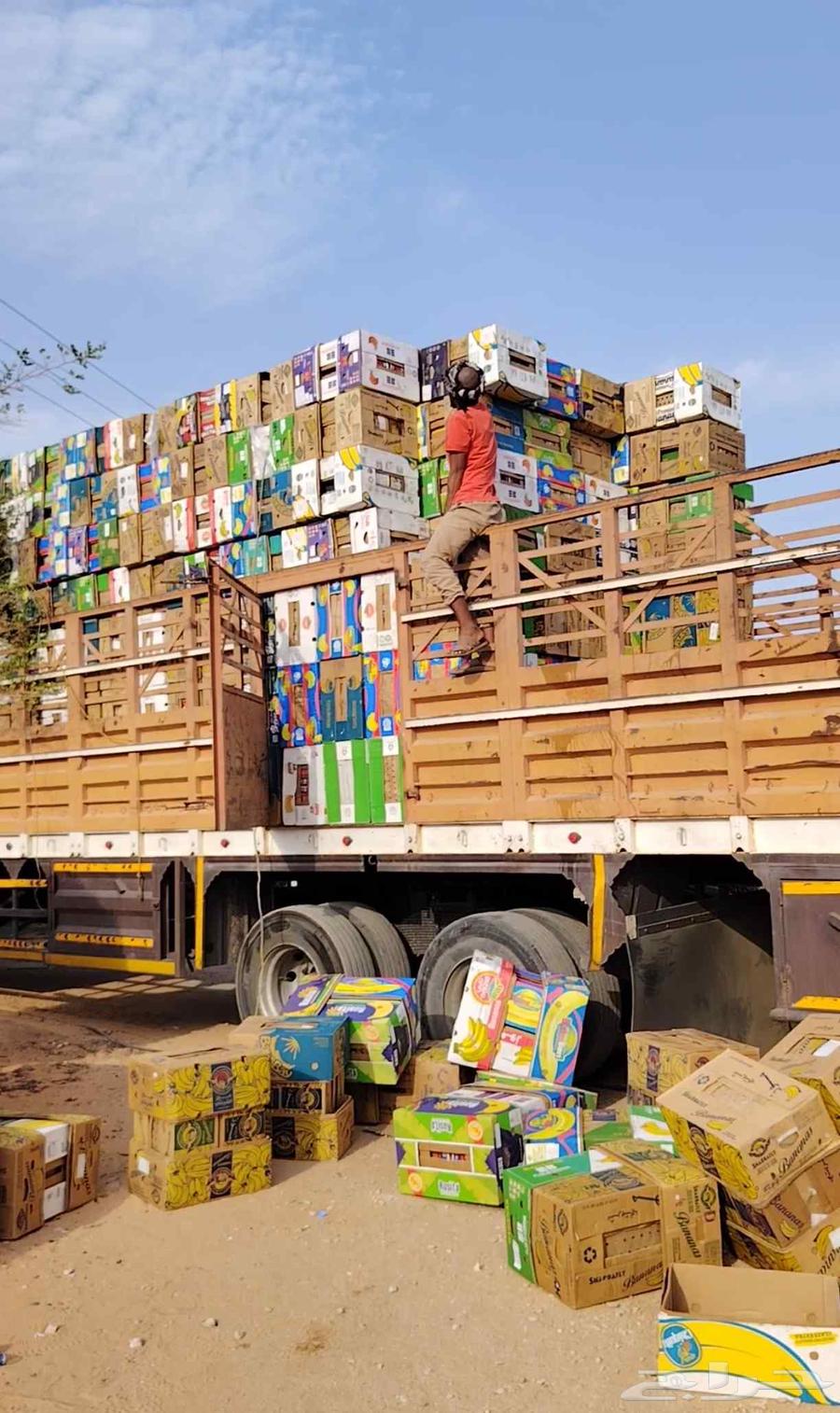 New banana cartons for dates64545360497409111