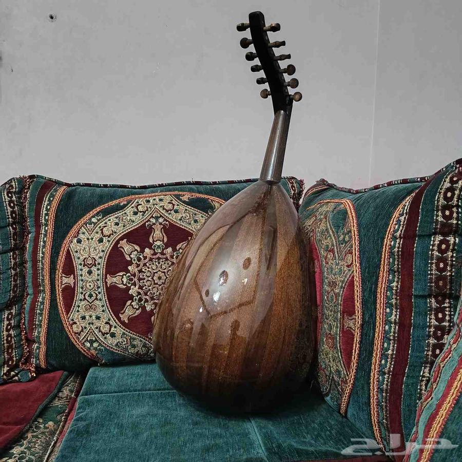 عود نظيف للبيع64550495235201110