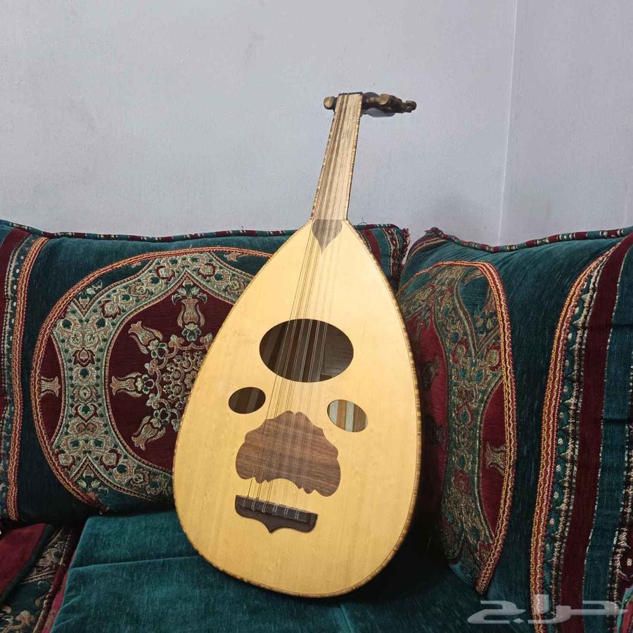 عود نظيف للبيع64550495235201111