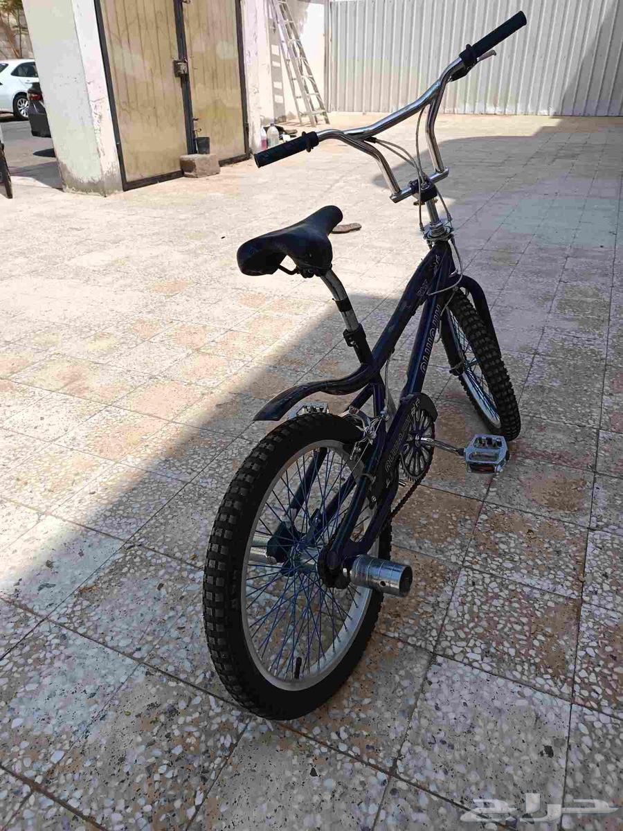 Cobra bicycle64546609628929110