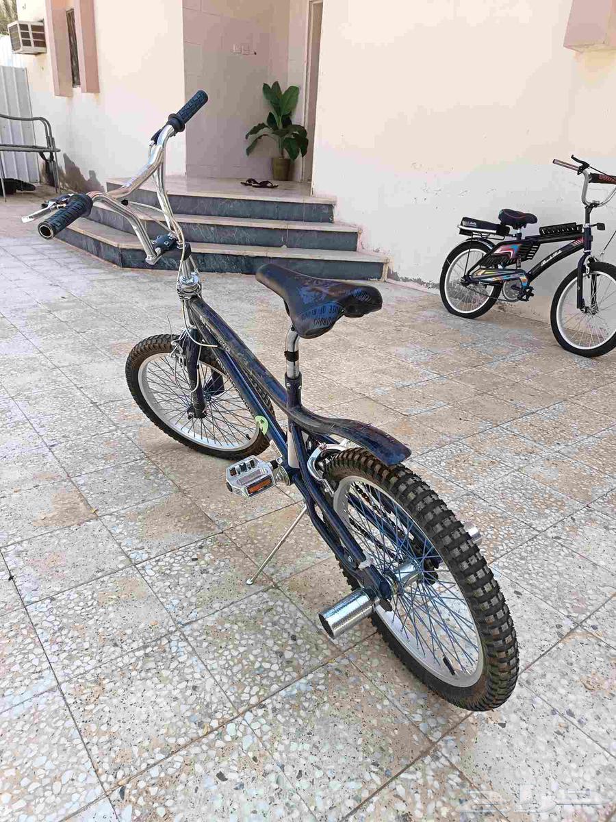 Cobra bicycle64546609628929111