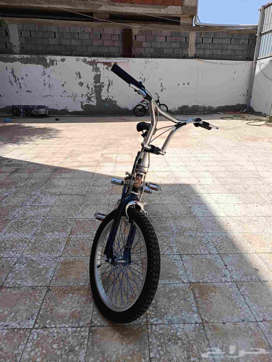 Cobra bicycle64546609628929114