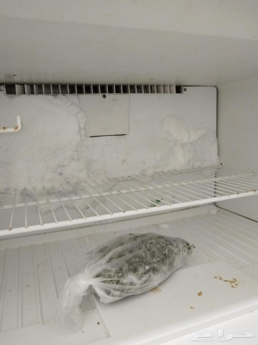 ثلاجه للبيع64550845877762111