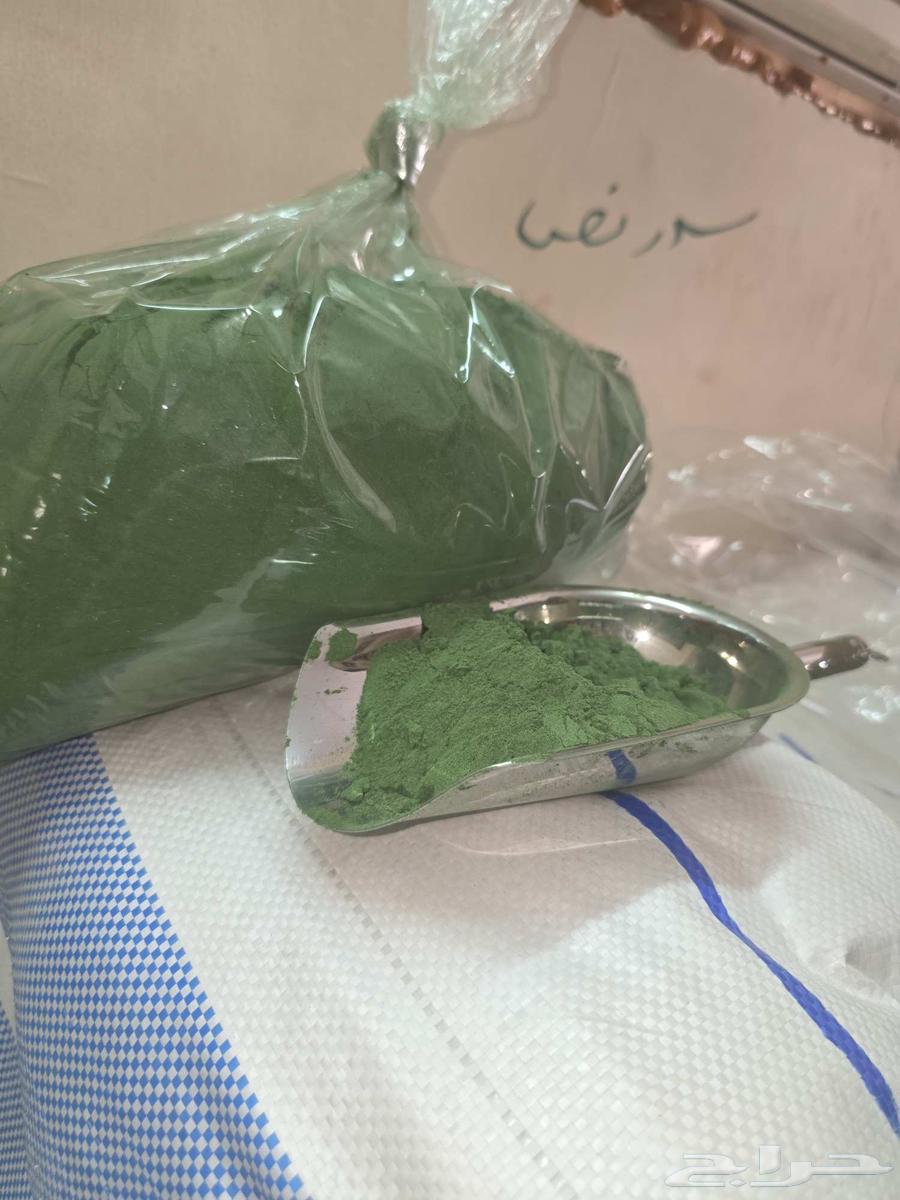 New green comb, kilo for 15 riyals64547958351746110