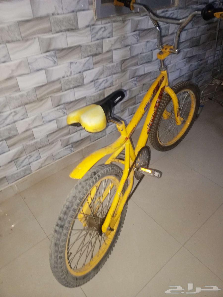 Cyclone Cobra64552449024642110