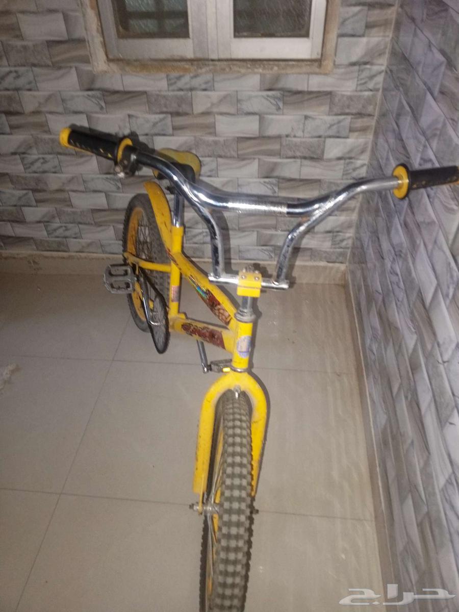 Cyclone Cobra64552449024642112