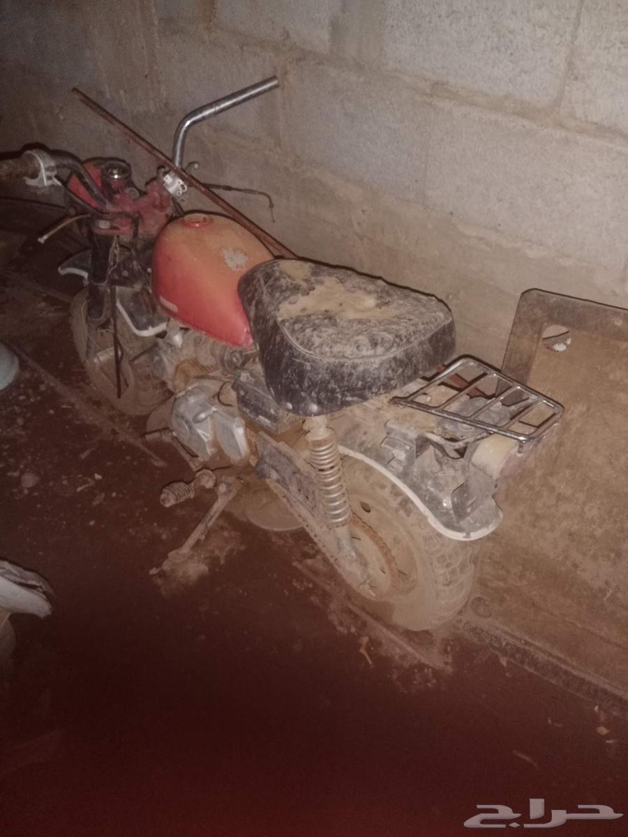 دبب هذا عليه 300 ريال64551248231426110