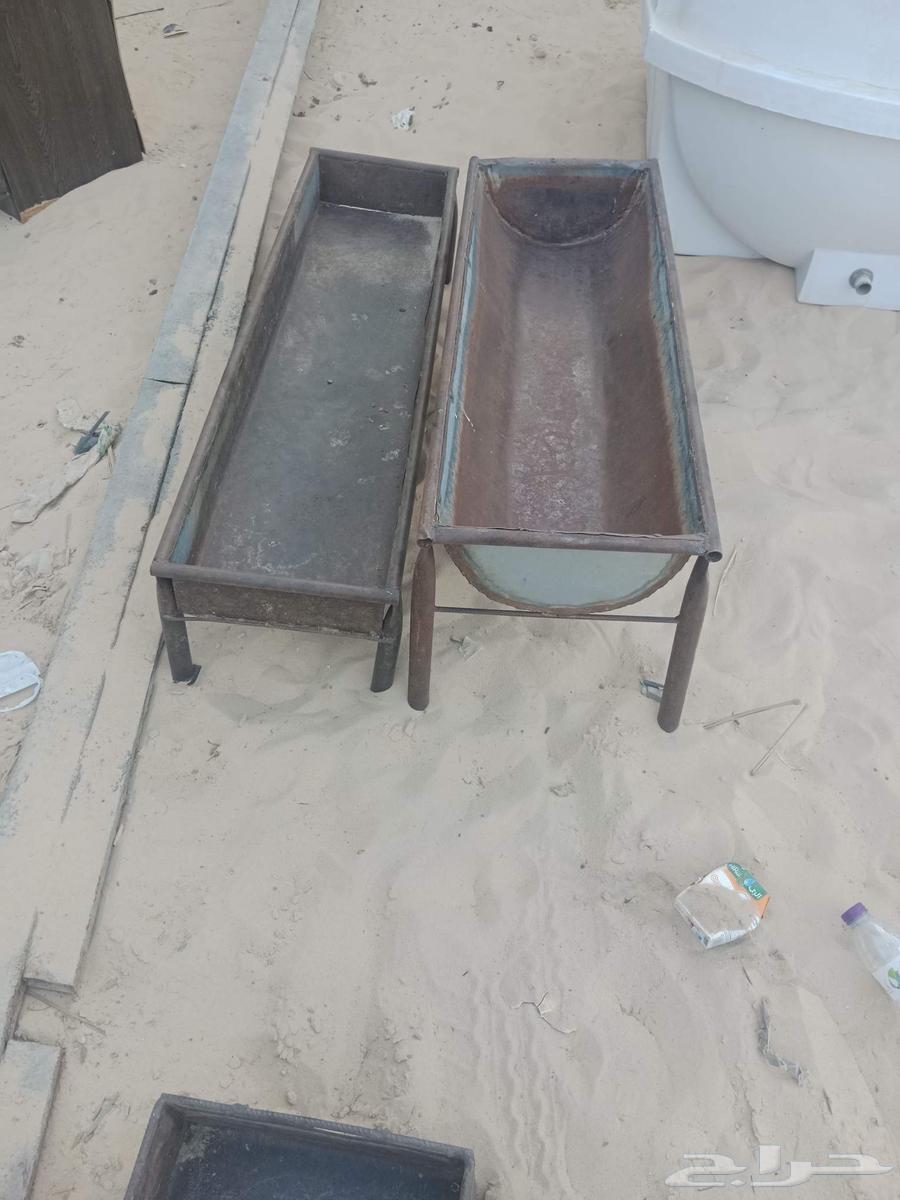 Ma3laf for Halal64547221666049111