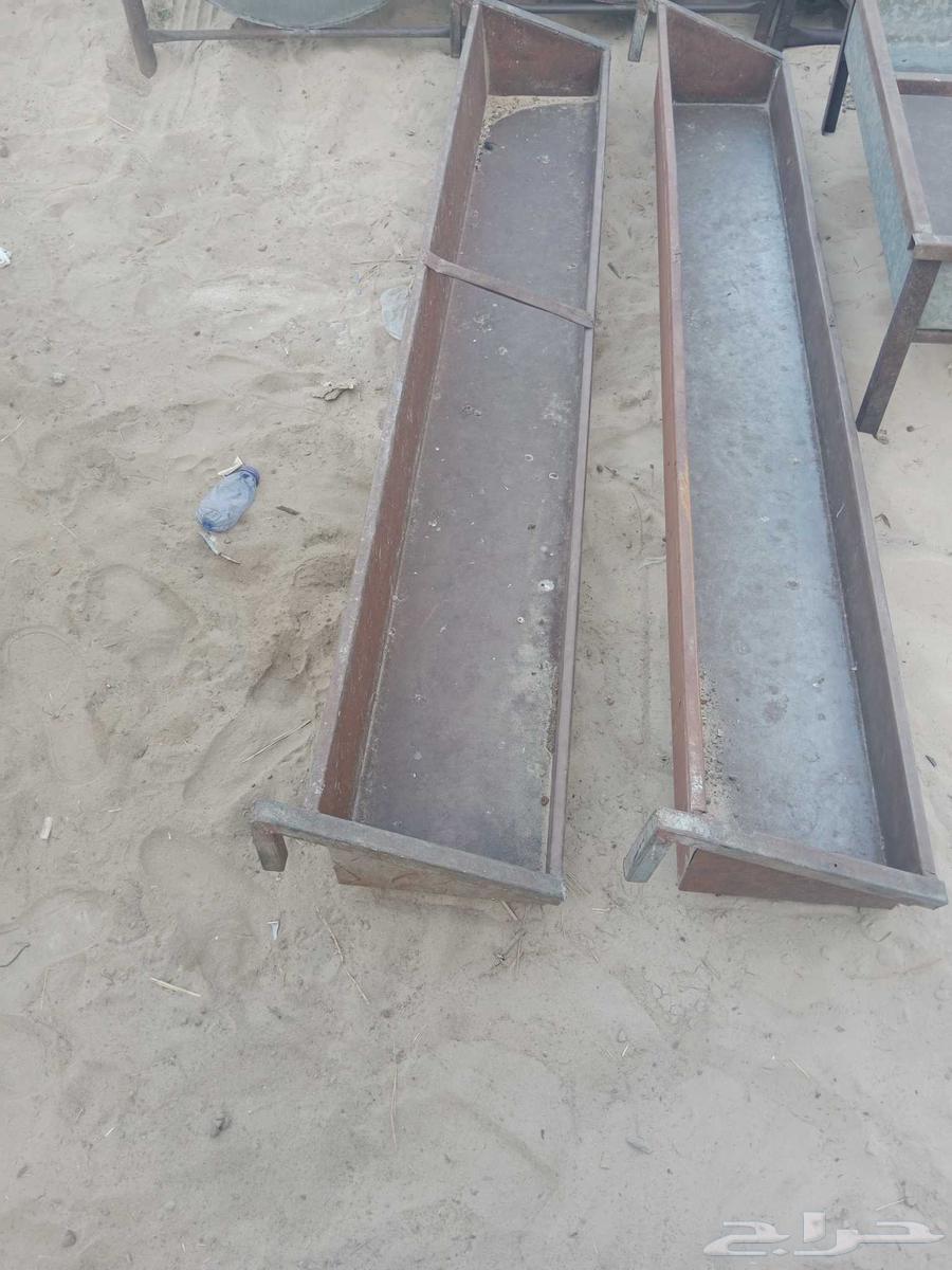 Ma3laf for Halal64547221666049112