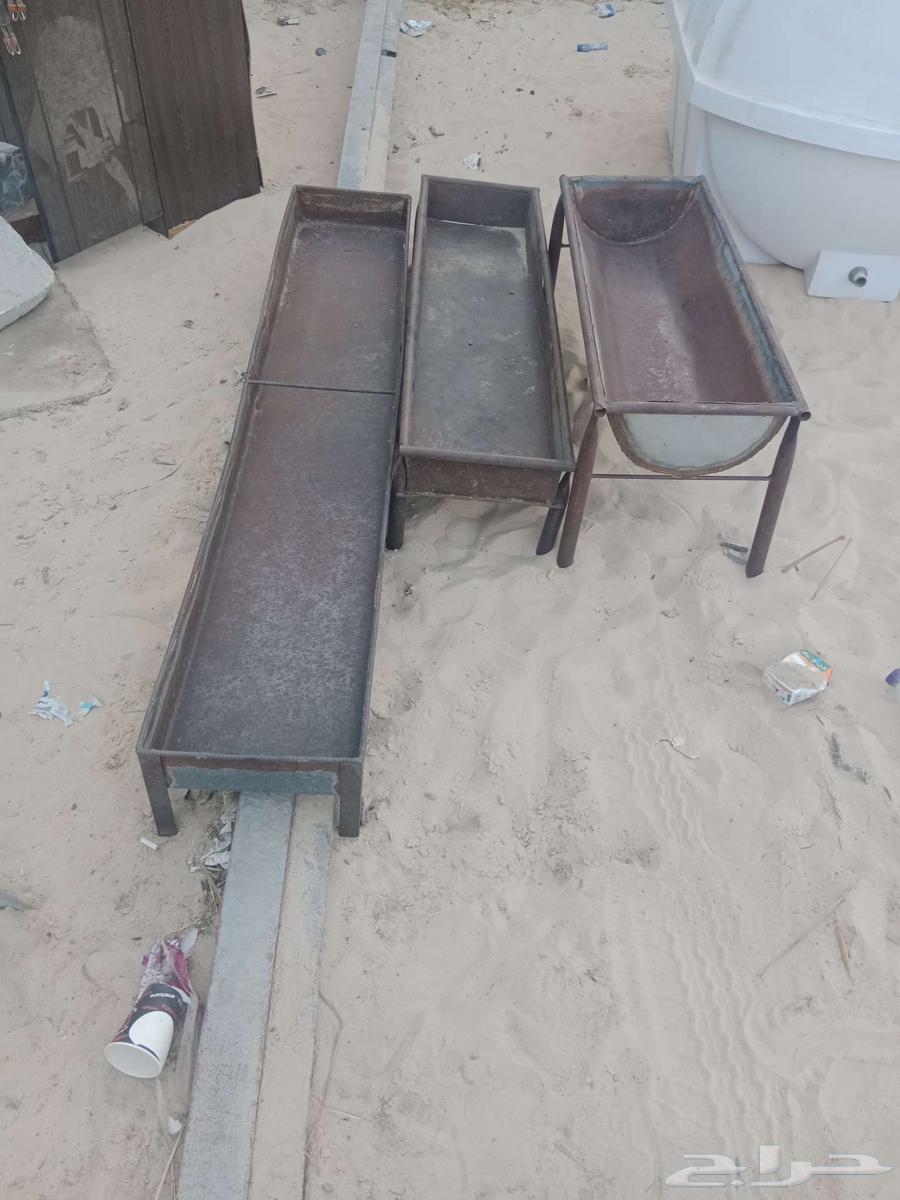 Ma3laf for Halal64547221666049110