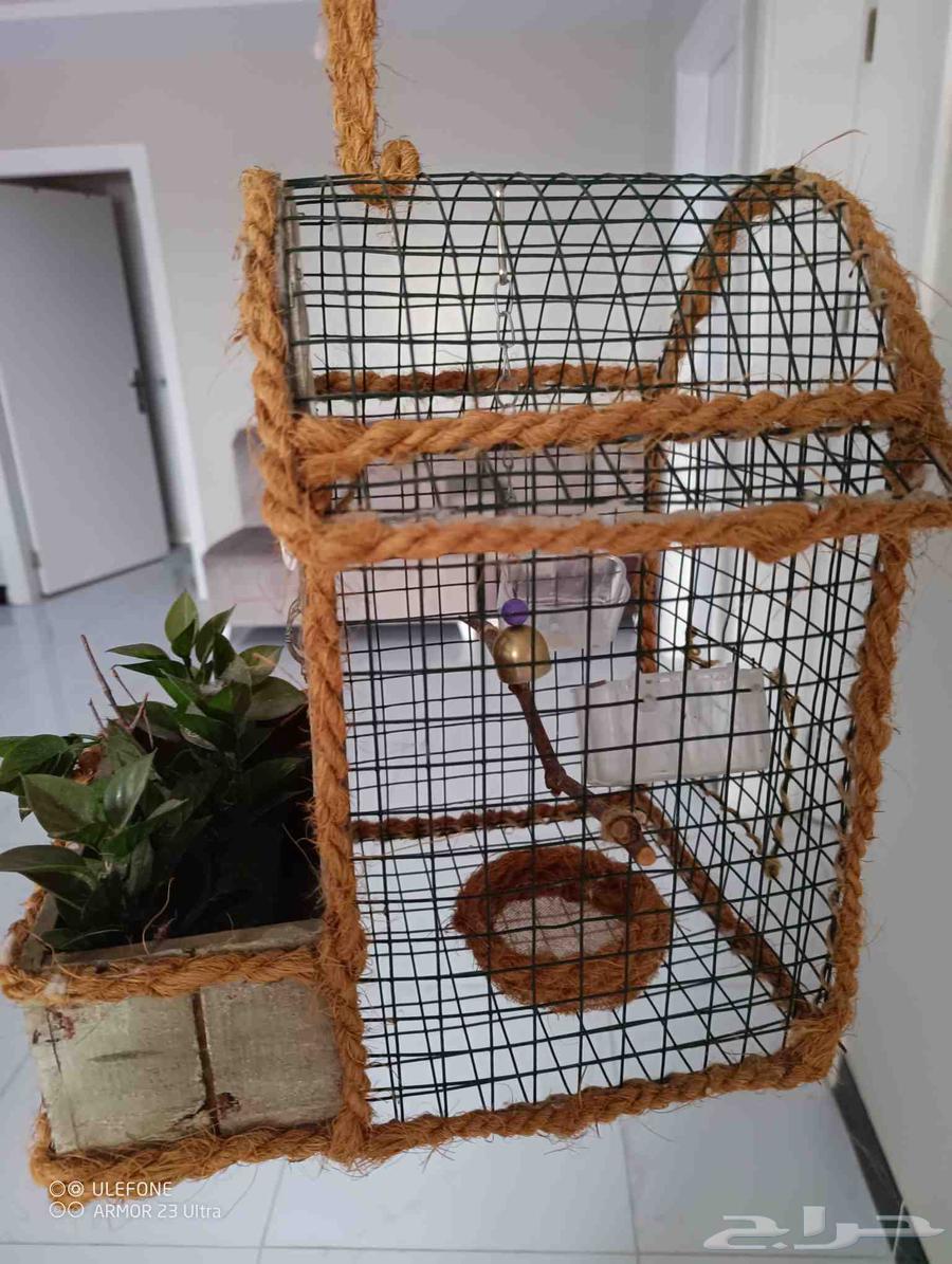 بيت الطيور - قطعة عرض للبيع64546553888387112