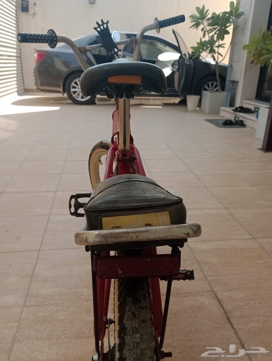 سيكل رامبو اندنوسي اصلي على السوم64546818437121110