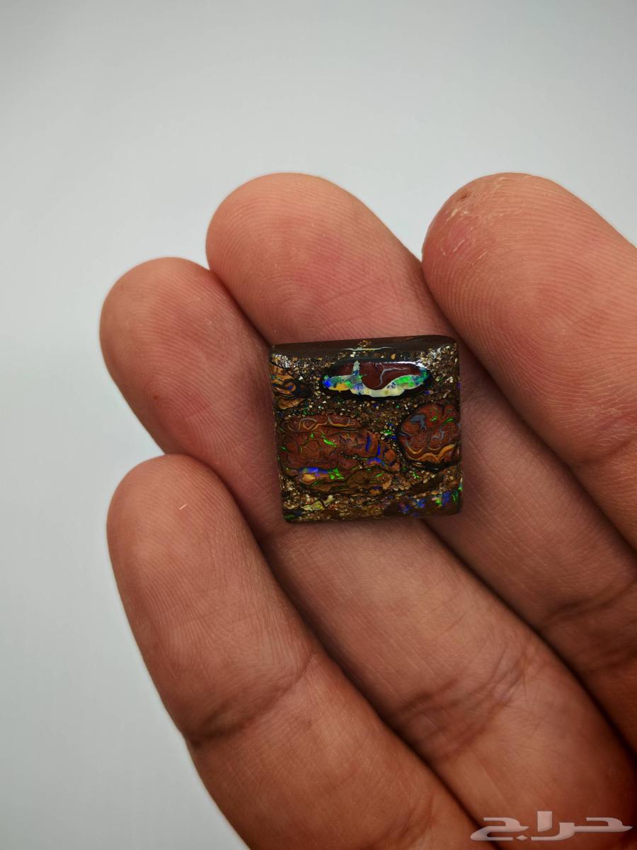 Australian Boulder Opal Auction from the Rarest Finds with Internationally Certified Authentication64547986754690114