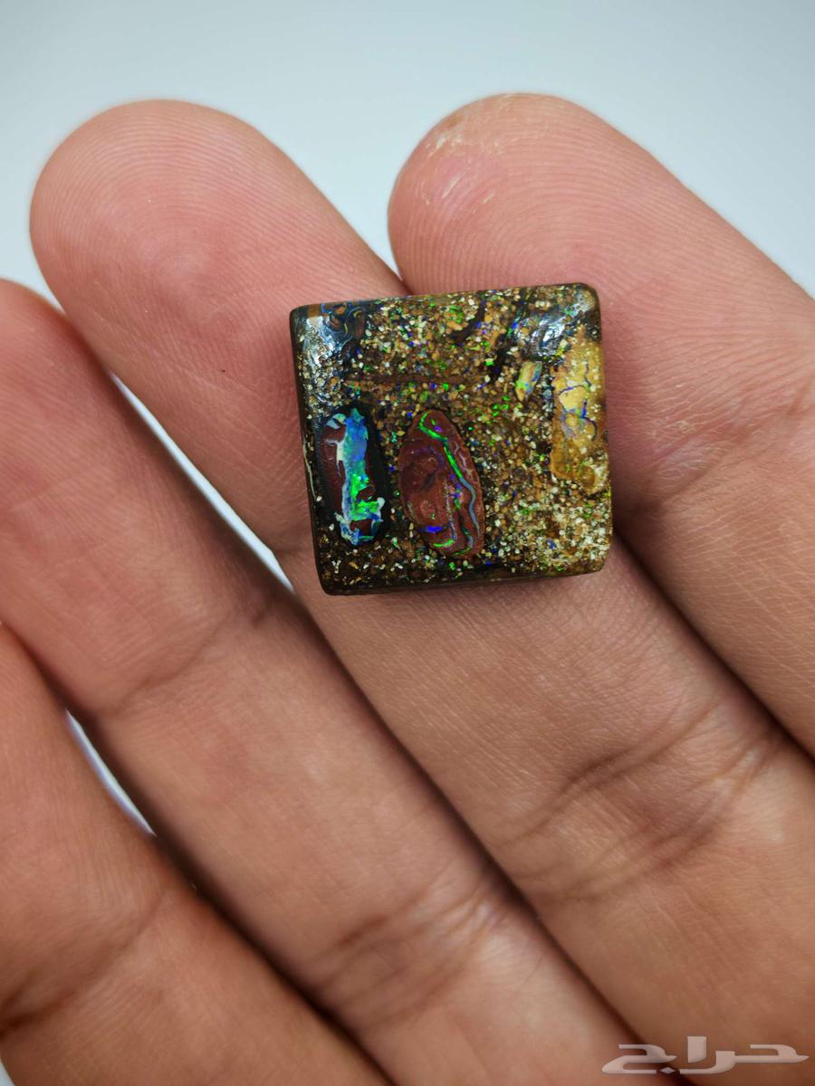 Australian Boulder Opal Auction from the Rarest Finds with Internationally Certified Authentication64547986754690112