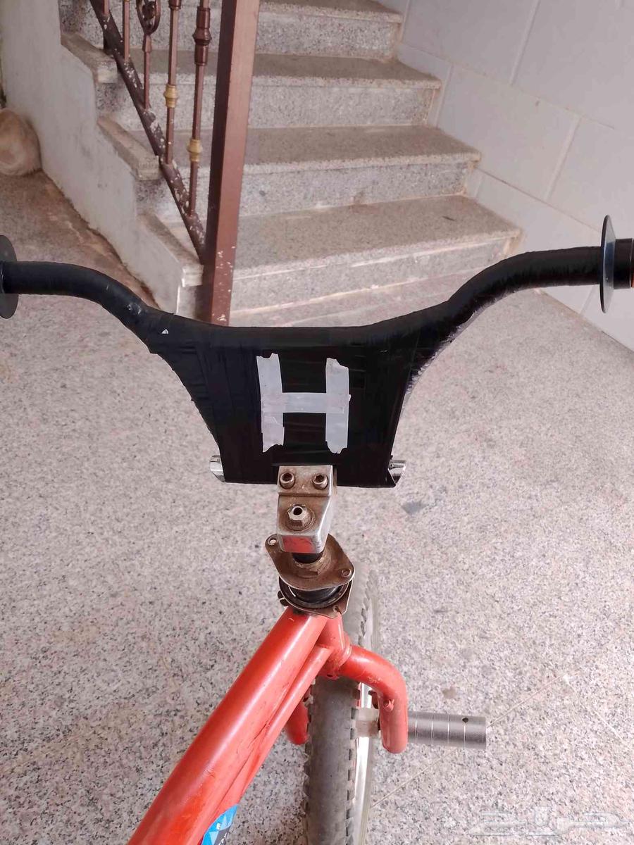 كوبرا مدبل للبيع او البدل64548084424193111