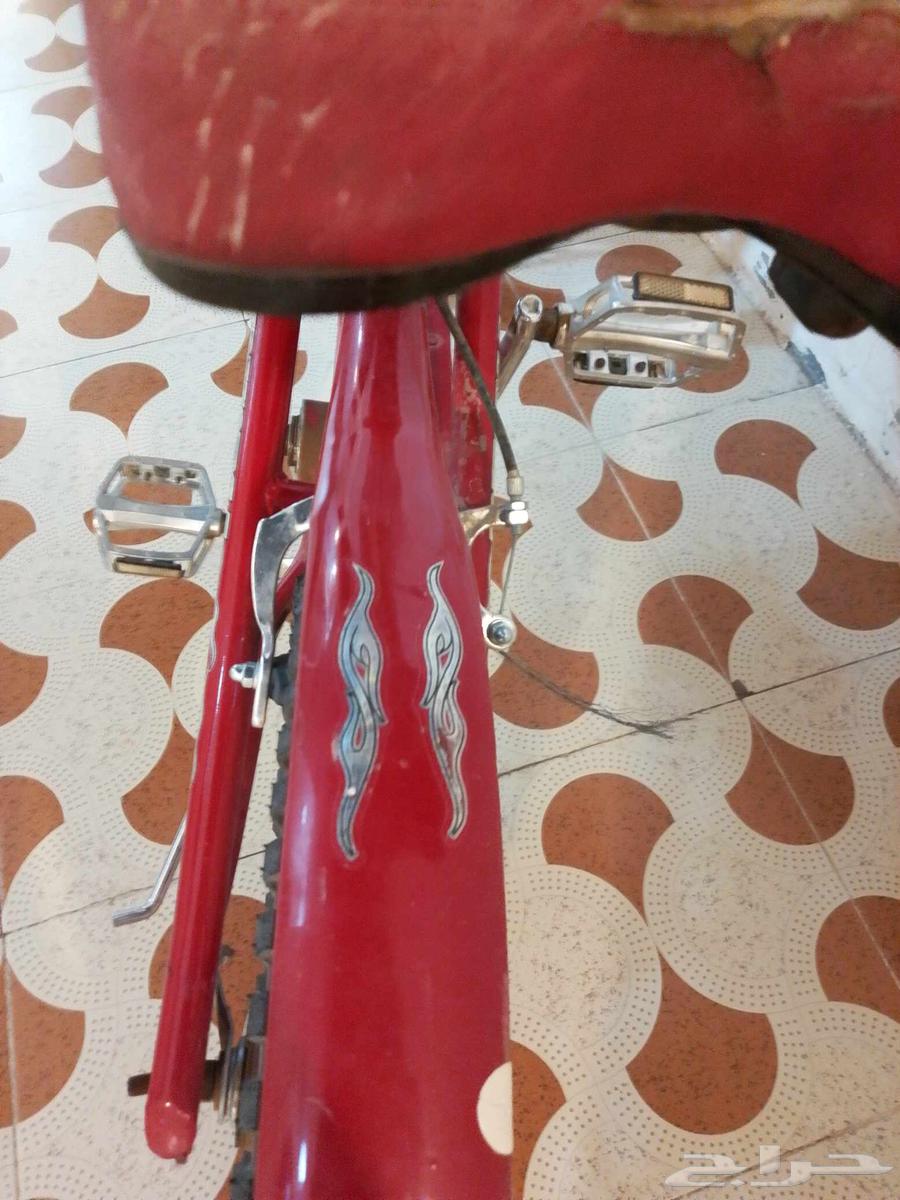 Cycl64544495478017114