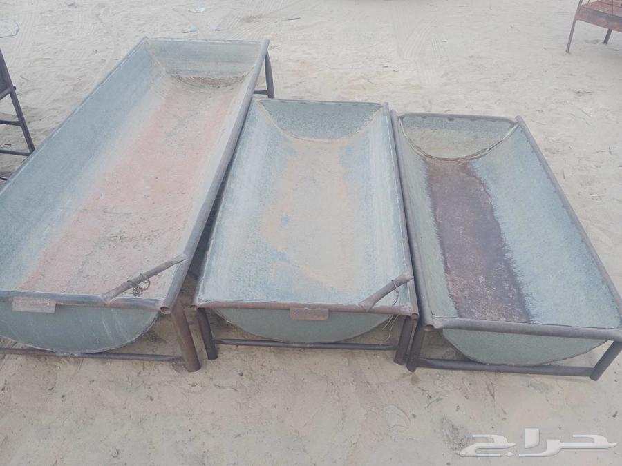 Ma3laf for Halal64547221666049114