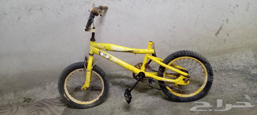 سيكل كوبرا مقاس 1664552746811010112