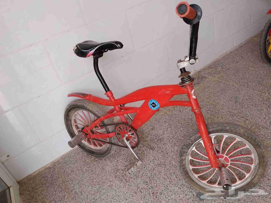 كوبرا مدبل للبيع او البدل64548084424193110